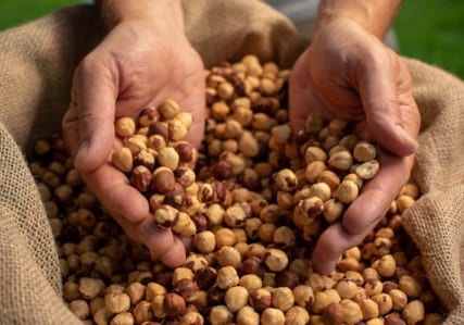 Наши ингредиенты