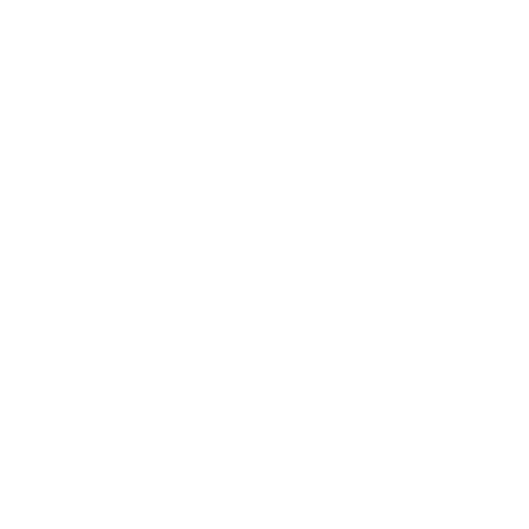 Icon sports practiced