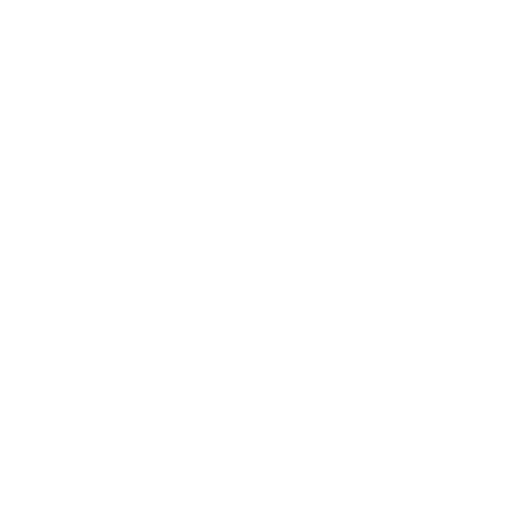 Icon research programmes