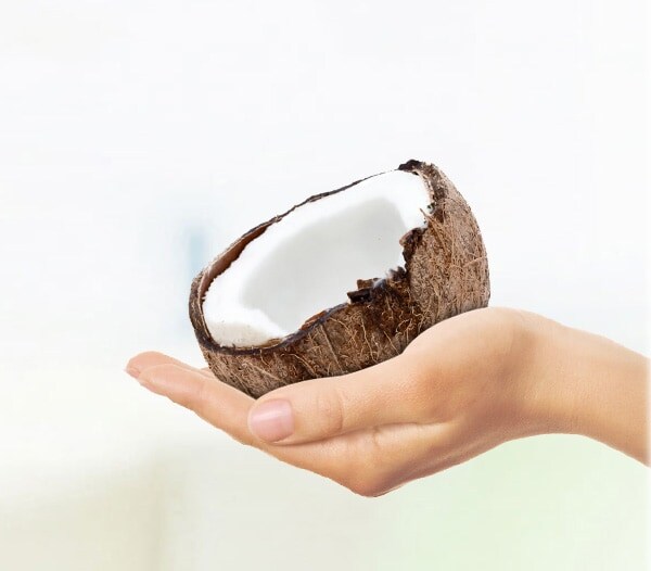 New header coconut