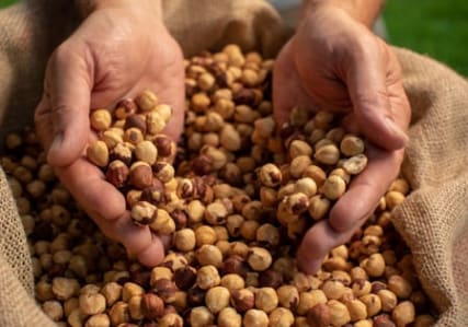 Box to Ingredients Våra ingredienser