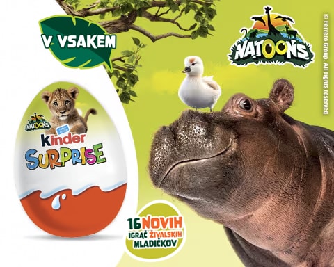 KS NATOONS