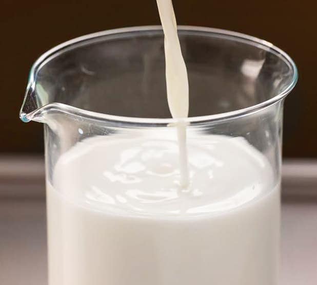Hub Milk main