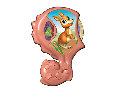 kangaroo-inside.png