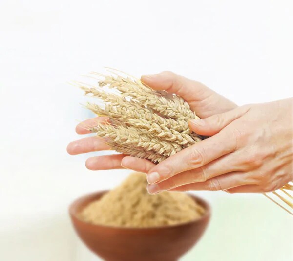 new header malt New-header-malt