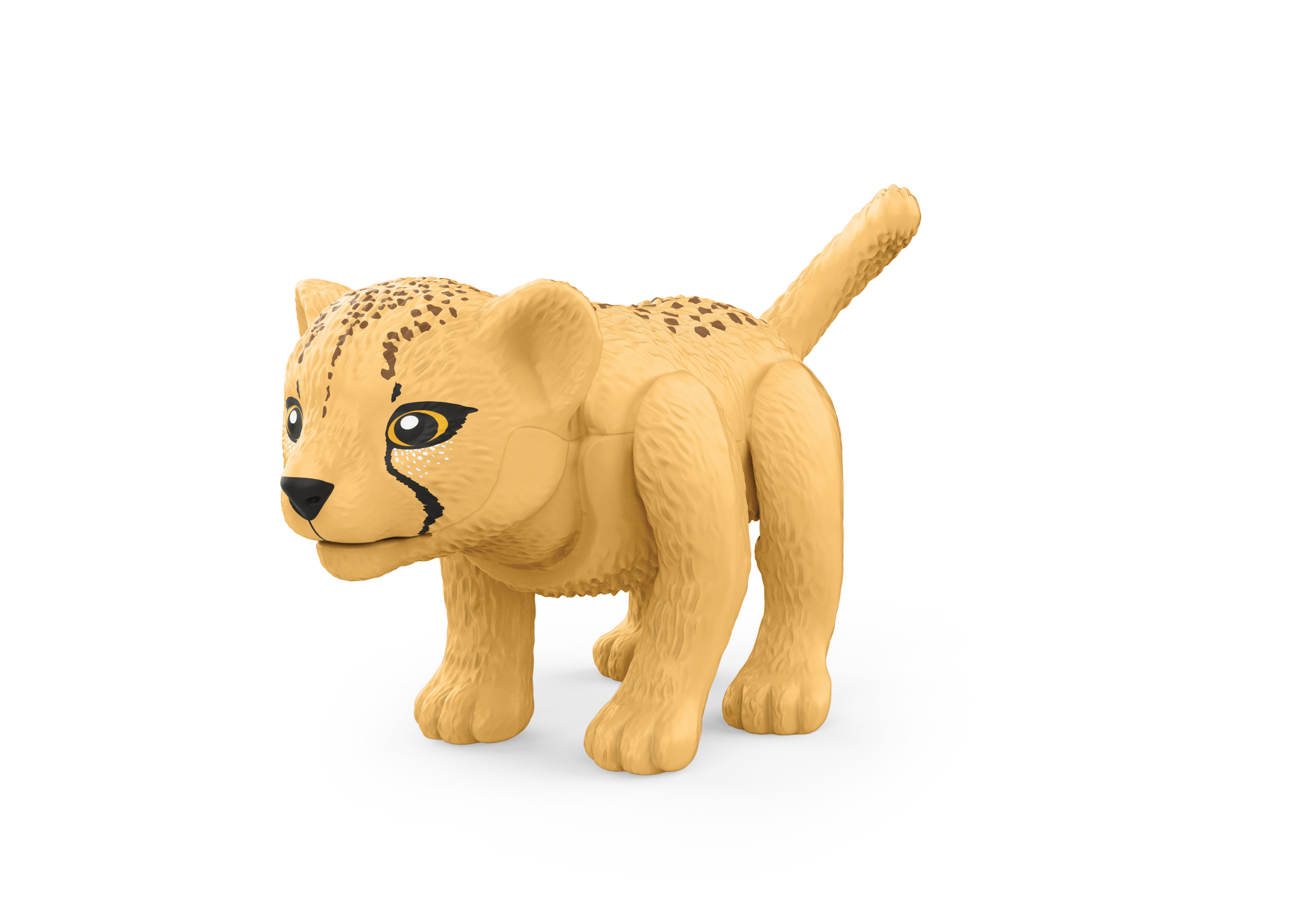 fr_ceetah_dx_b.png