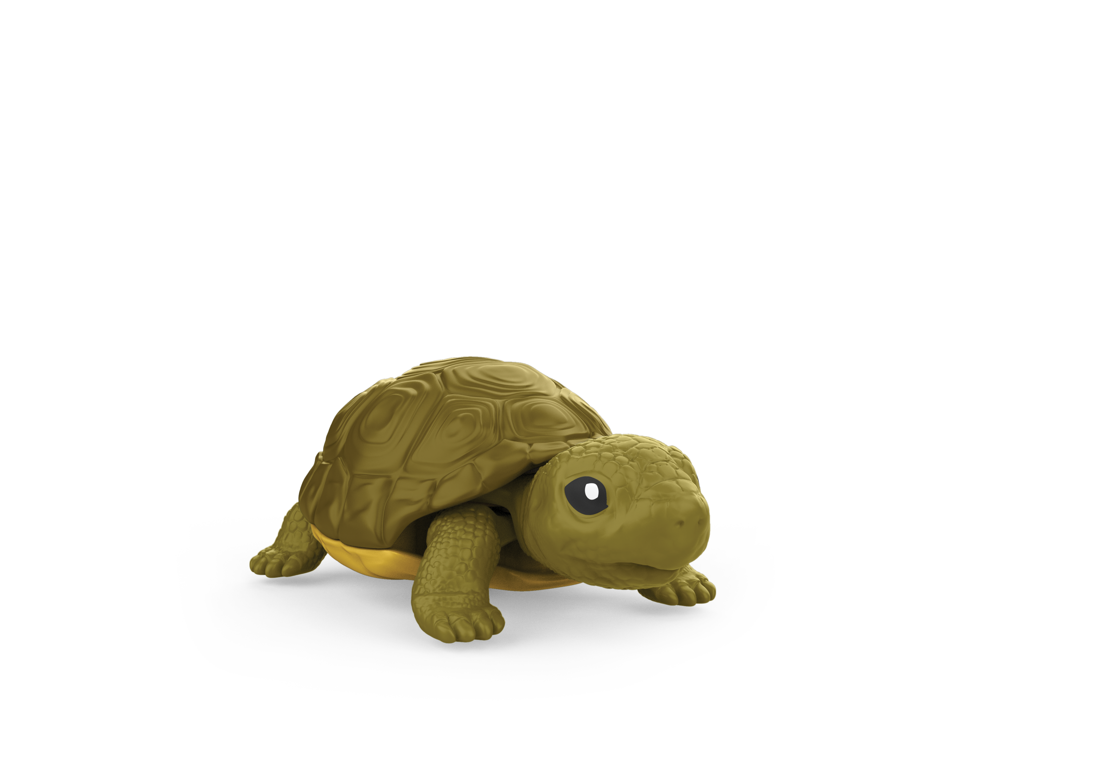 fr_turtle_dx_b