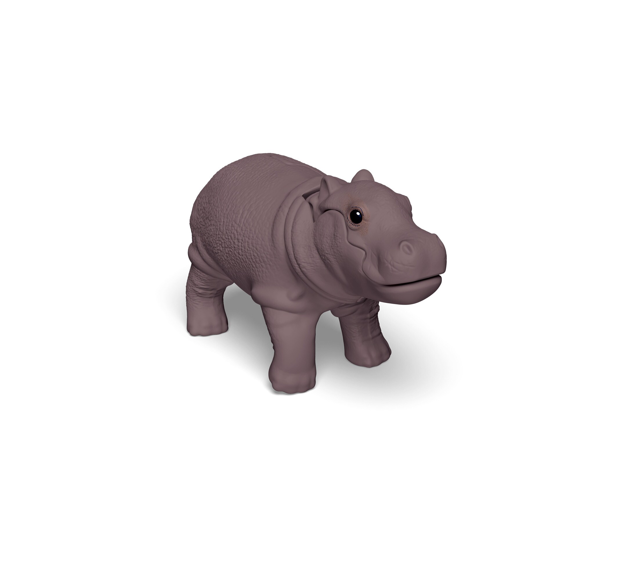 hippocub-vq174_fr.jpg