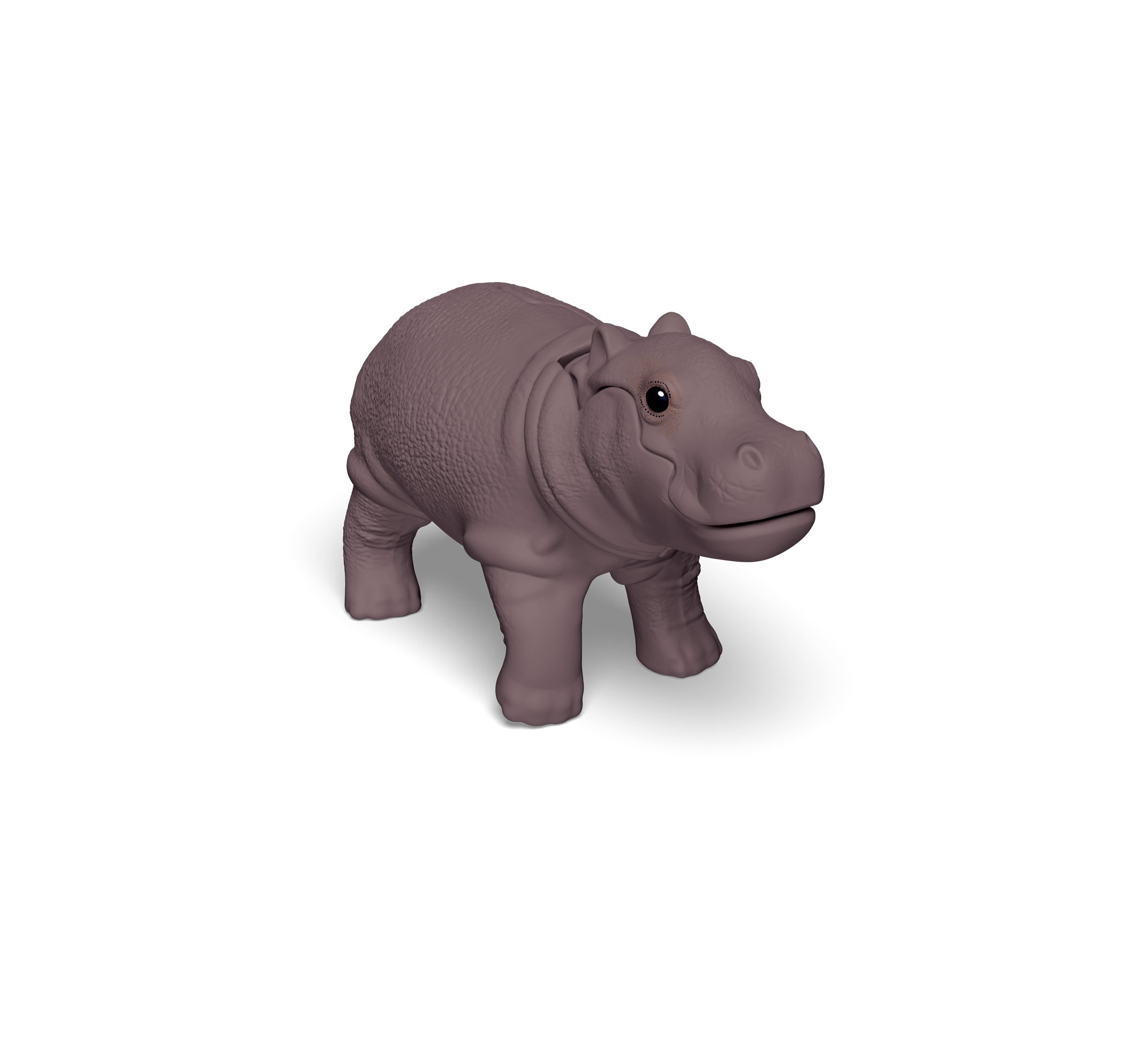 hippocub-vq174_fr.jpg