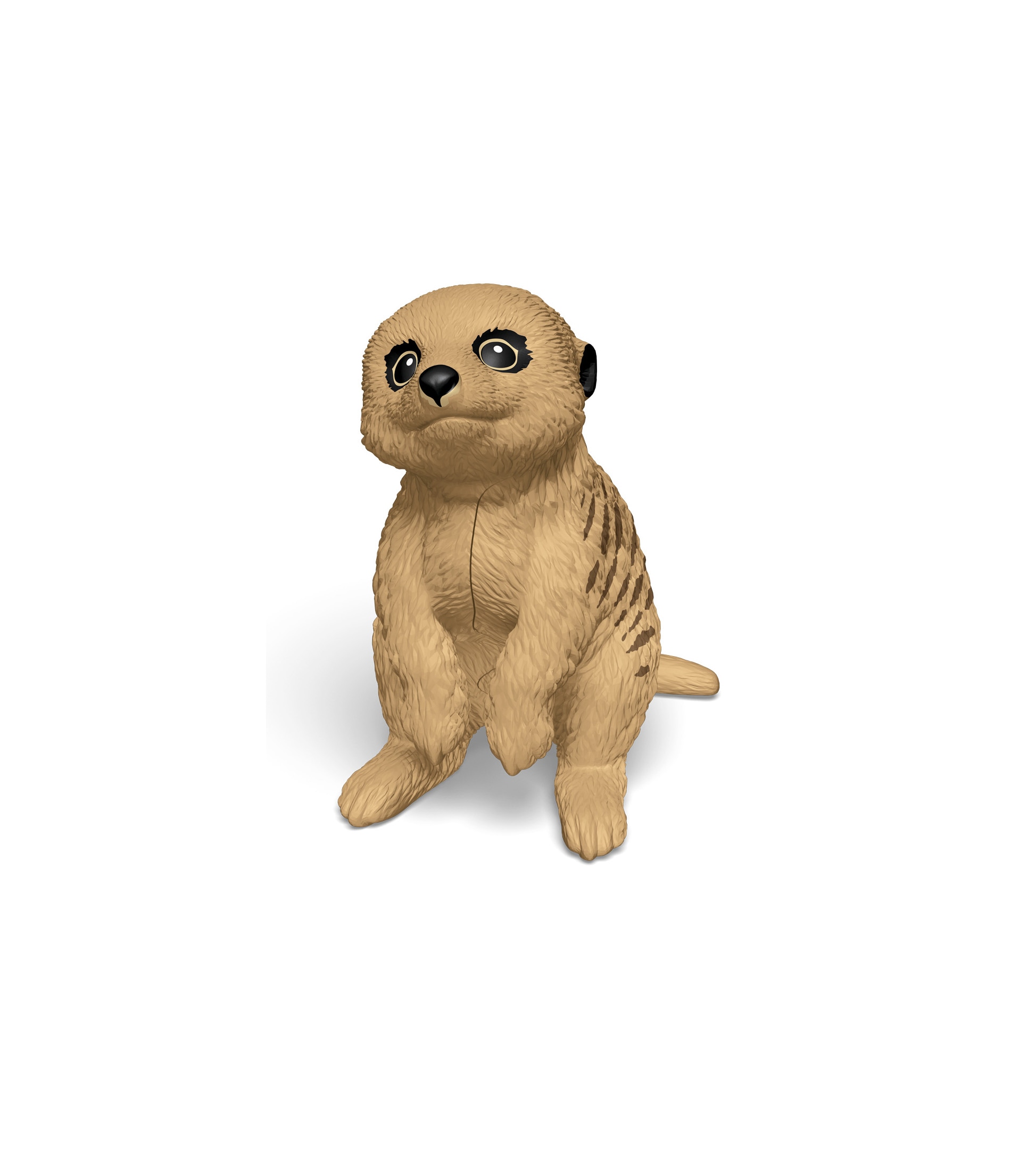 meerkatcub-vq127_fr.