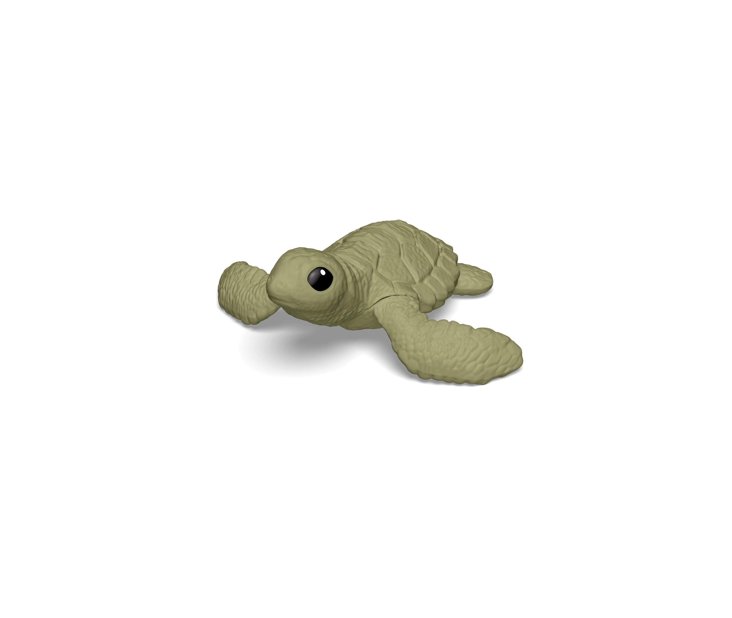 turtlecub-vq124_fr