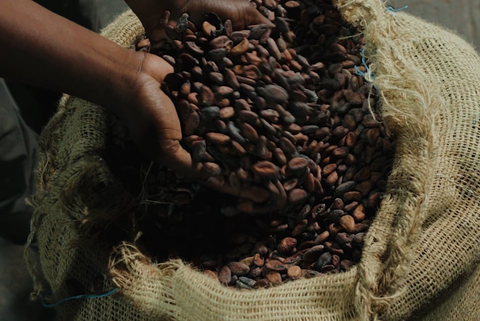 2-cocoa.png