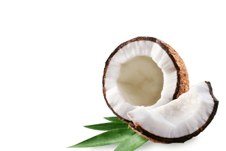 zutaten kokosnuss klein 2 zutaten kokosnuss klein 2