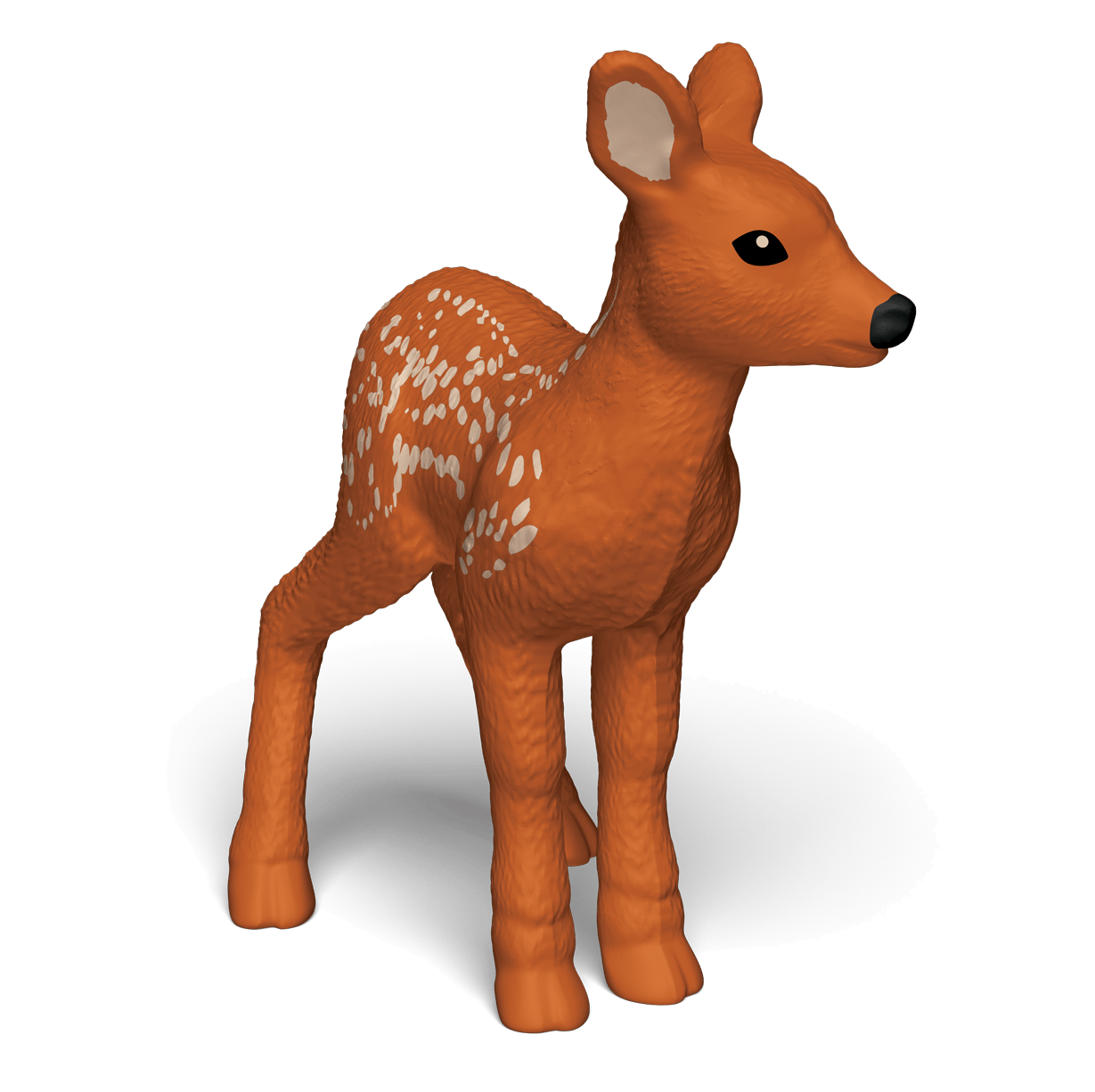 Fawn