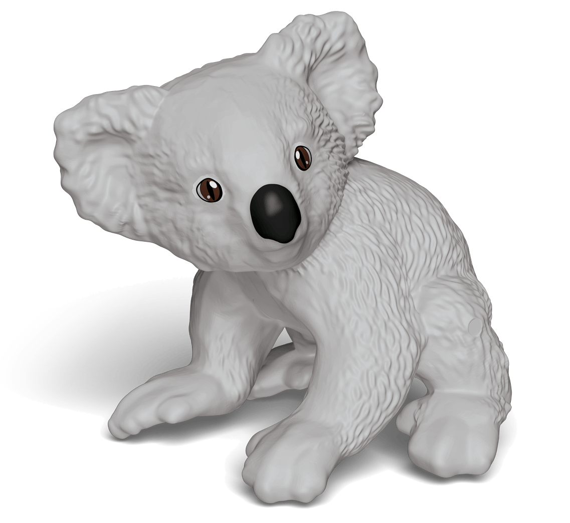 Koala
