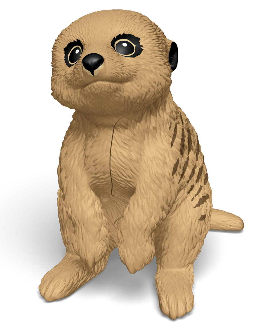 Meerkat