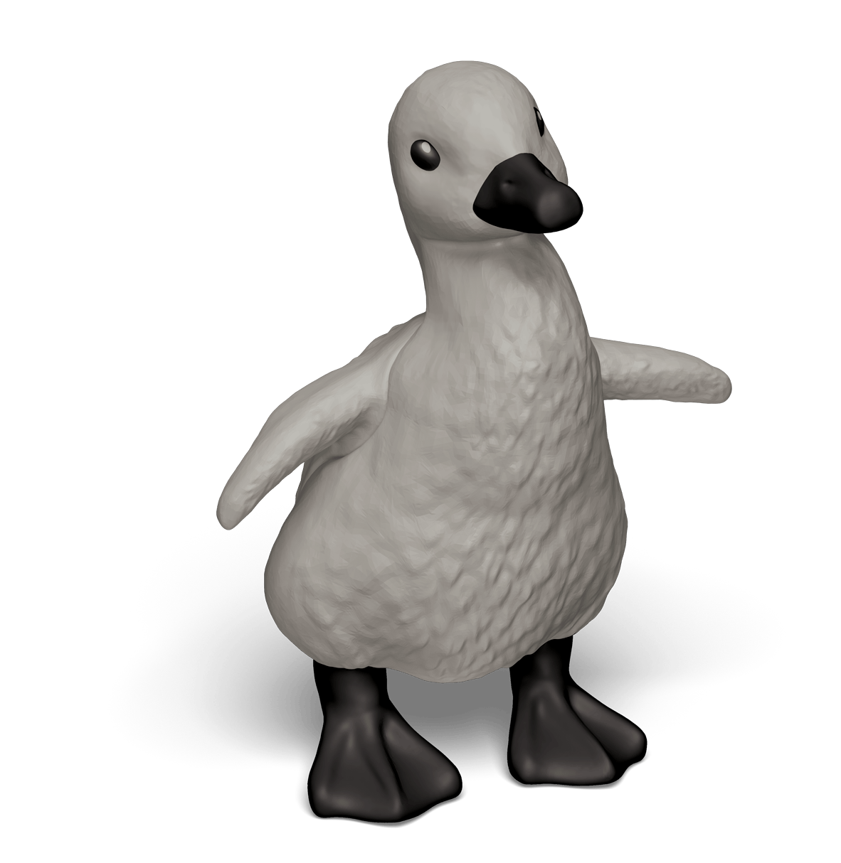 Swan