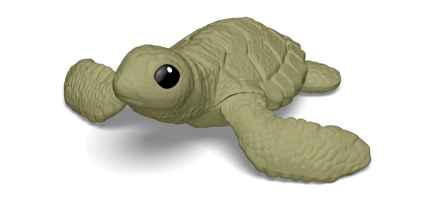 Turtle