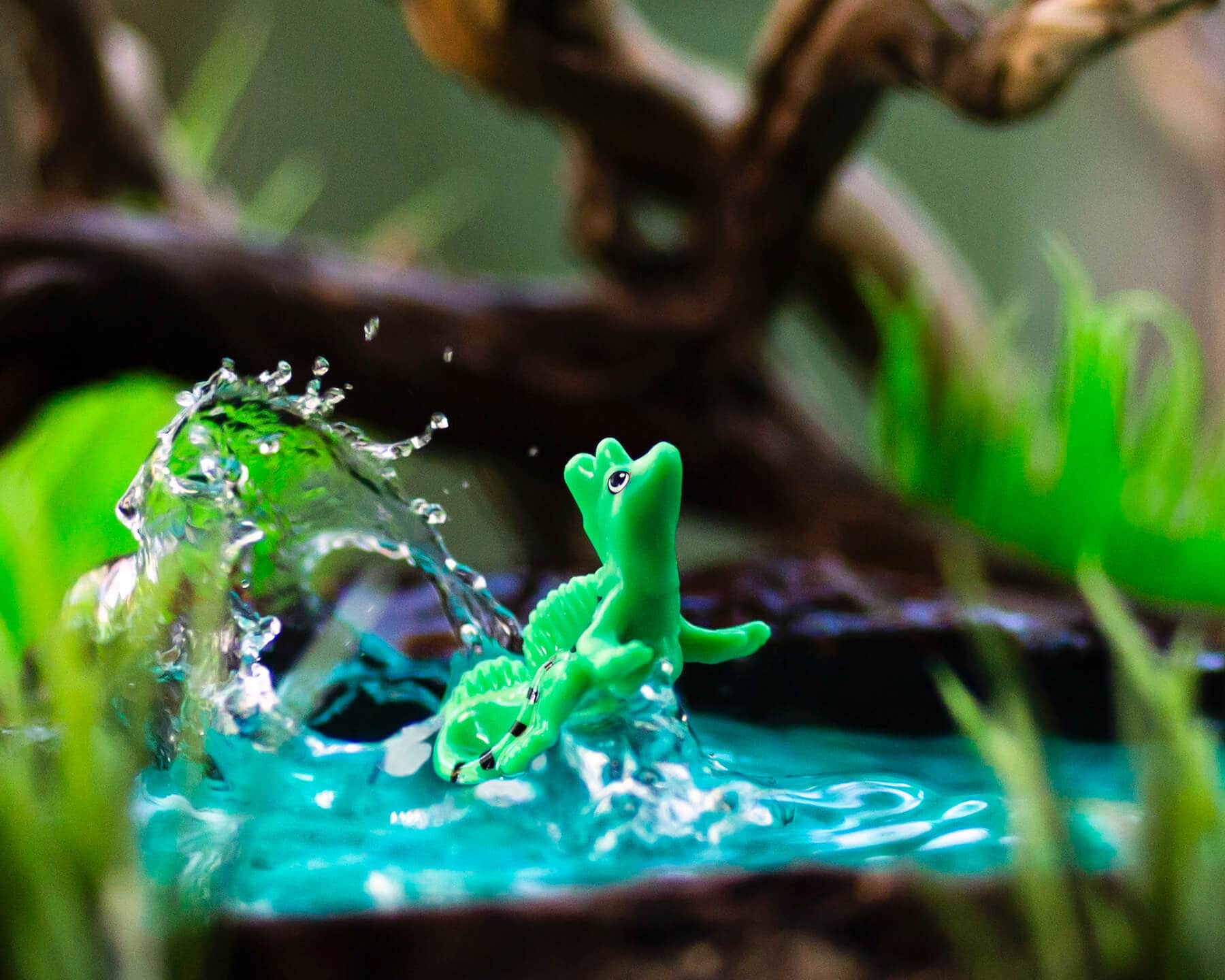 kinder basilisk lizard 8x10 horizontal Lizard - Surprise