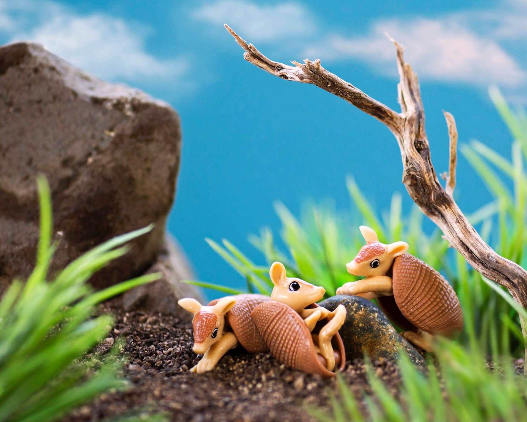 kinder armadillos 8x10 horizontal Armadillos