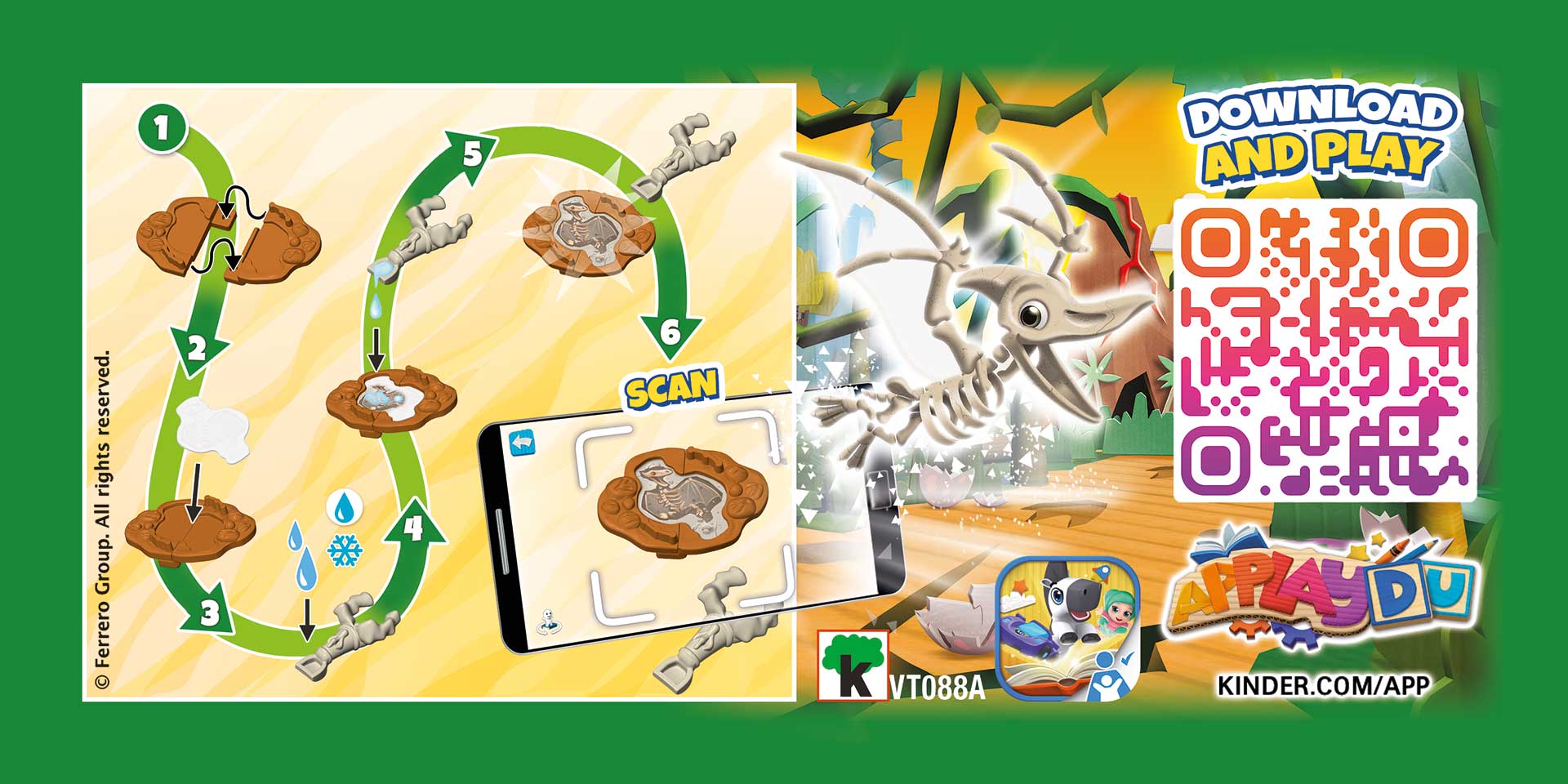 Fossil leaflet