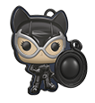 Catwoman Pop it
