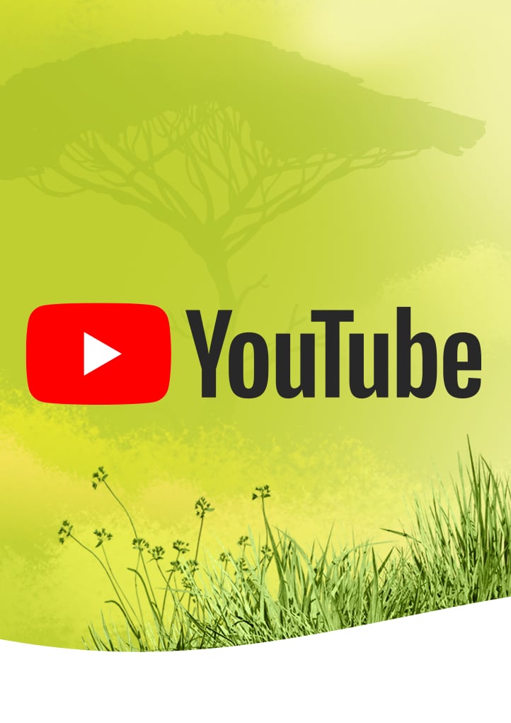 youtube