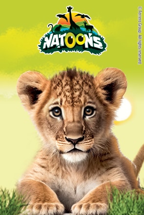 KINDER NATOONS CUBS