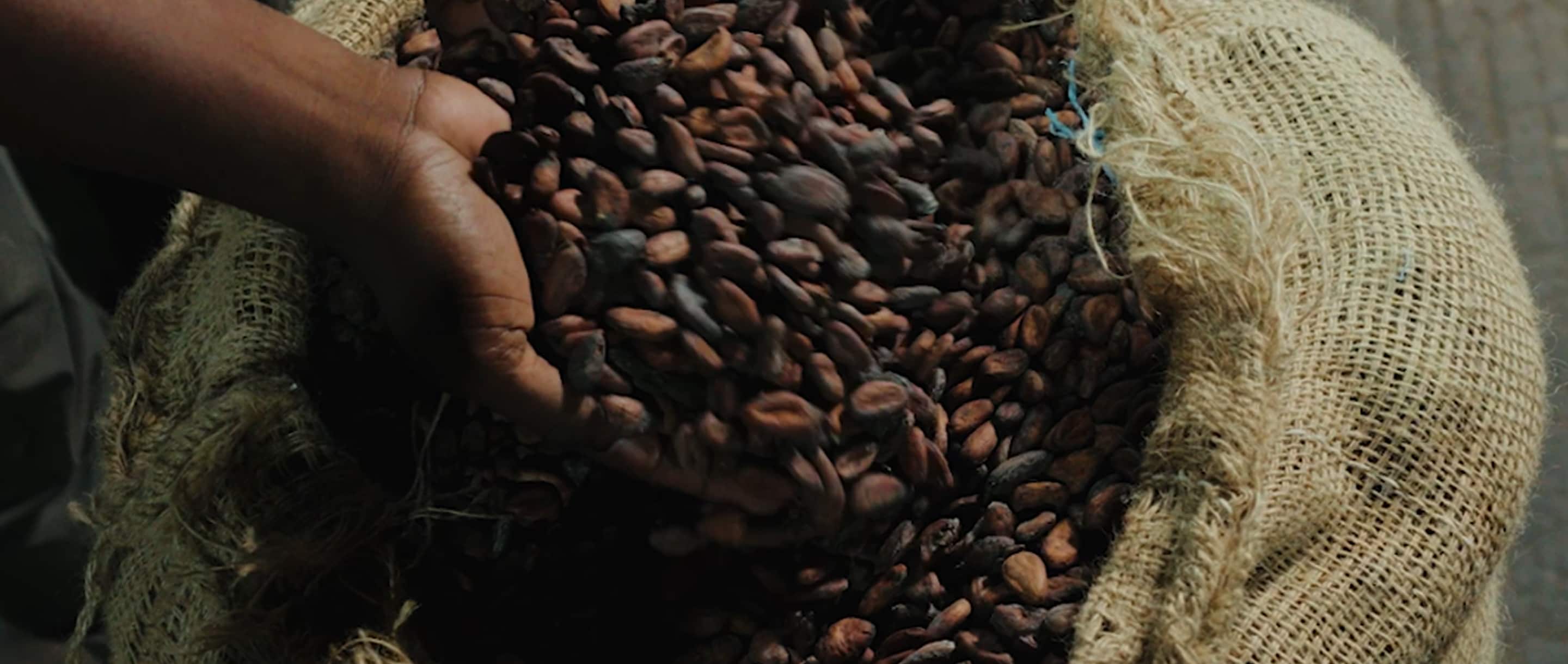 cocoa