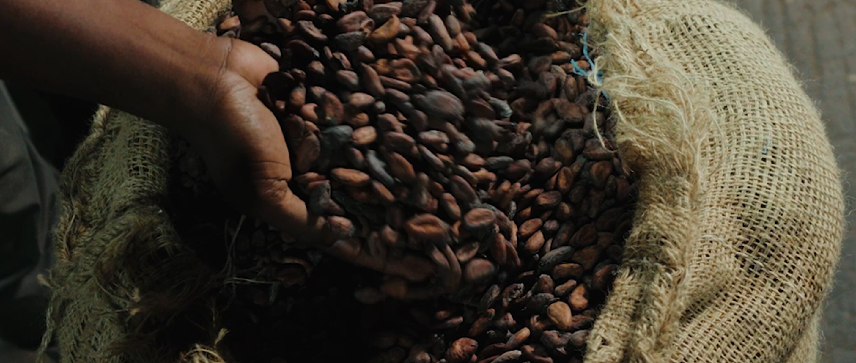 cocoa