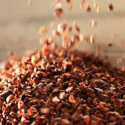 Cocoa part 2